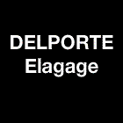 Delporte Elagage