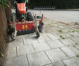 Trinkgeld GmbH Garten- & Landschaftsservice Bild 16