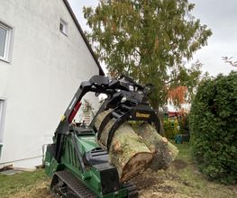 Owens Baumarbeiten Bild 3