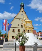 Stadt Hirschau Bild 1