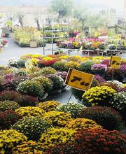 Bricomarché Saint-Jean-De-Muzols image 2