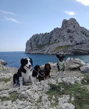 Ozzy & Co image 5