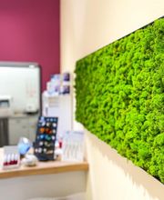 Optik Hemberger Bild 2