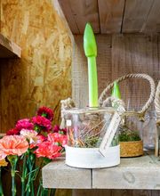 Brin De Nature image 18