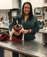 South Putnam Animal Hospital image 19