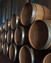 Cooperativa del Campo San Isidro imagen 18