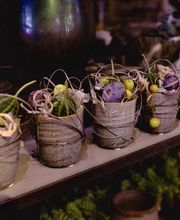 ART NATURAL stucki Bild 5