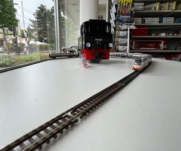 Hamwaa AG  Modelleisenbahnen Schweiz Bild 2