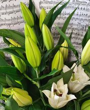 Atelier Floral image 1