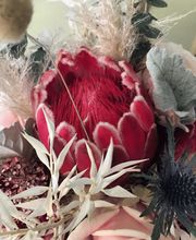 BLUAMAZAINA CAFE NATUR Bild 3