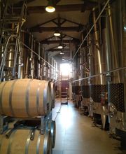 René Fourrichon image 8