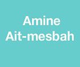 Ait Mesbah Amine image 1