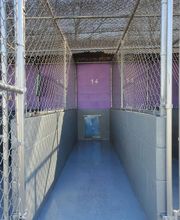 Pet Paradise image 13