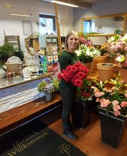 Blumen Advena Bild 2