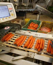 Gallery Professionale