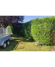 Lechatreux Entretien image 1