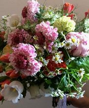 Guyard Benoît image 12