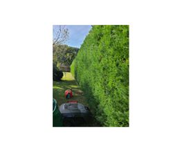 Jorys espaces-verts image 1