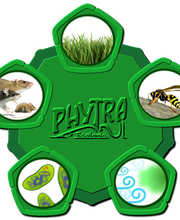 Phytra Ecologia image 1