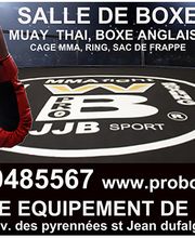 Ecole de boxe pugilistique et de sport associé image 1