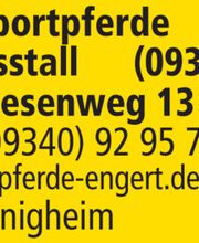 Sportpferde Engert Bild 1