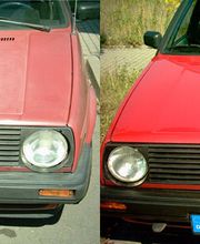 Autopflege Hirsch Bild 4