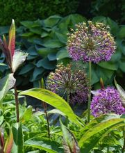 zehnder-garten GmbH Bild 12