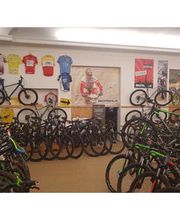 BIKE PROFIS Zwickau e. K. Bild 1