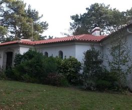 Alu Goutti image 4