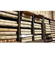 La Roue du Temps - Généalogie familiale image 1