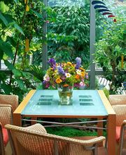 Littoral Concept image 1