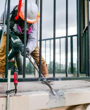 Seal Masters of Hawaii image 4