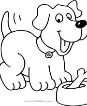 Haarlekijn Kinderdagverblijf