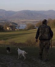 Mugello Tartufi immagine 13