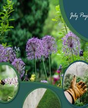 Joly Paysages image 2