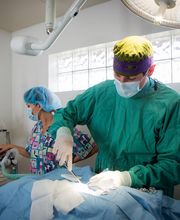 Lakewood Animal Hospital image 12