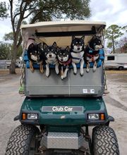 Eleanor Oaks RV Park image 18