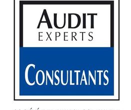Audit Experts Consultants image 3