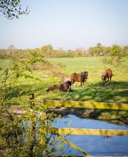 Le Domaine de La Barre Saint-Michel image 9