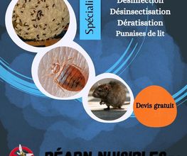 Béarn Nuisibles image 2