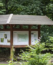 FriedWald Cuxland Bild 6