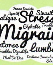 Mallard Maureen image 3