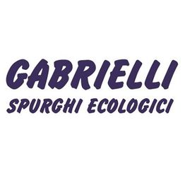 Gabrielli Spurghi Ecologici logo