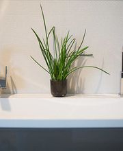 Otto Münzer & Sohn GmbH & Co. KG Bild 8