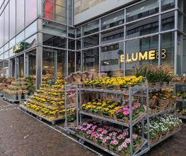 BLUME2000 Freiburg Bild 1