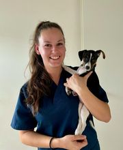 Cabinet vétérinaire VETDENGES Bild 2