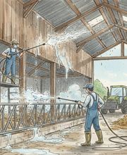 Entreprise SCH Multiservices image 5