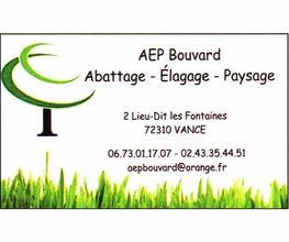 AEP image 1