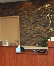 Dominion Valley Animal Hospital image 3