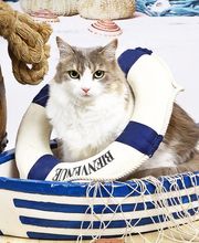 Virgin'Arts image 14